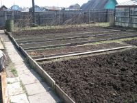 Гатовы к пасивной))))