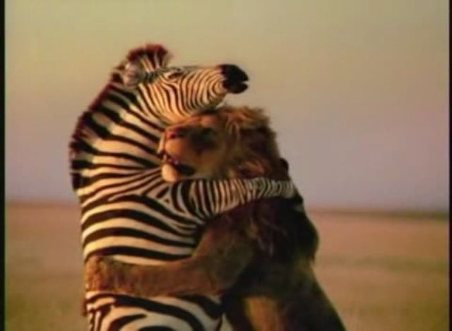 Это любовь?