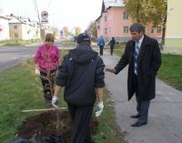 Сажать надо аккуратно!